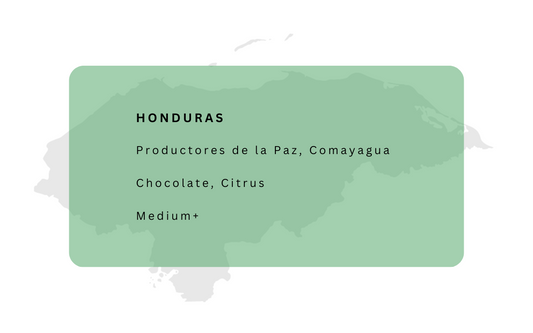 Productores de la Paz, Comayagua, Honduras